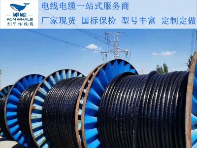 鄭州電纜廠淺談電纜著火怎么辦呢？撲救辦法在這里